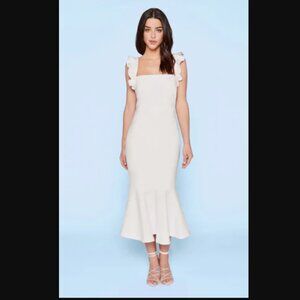 NWT Likely Hara Dress, 12